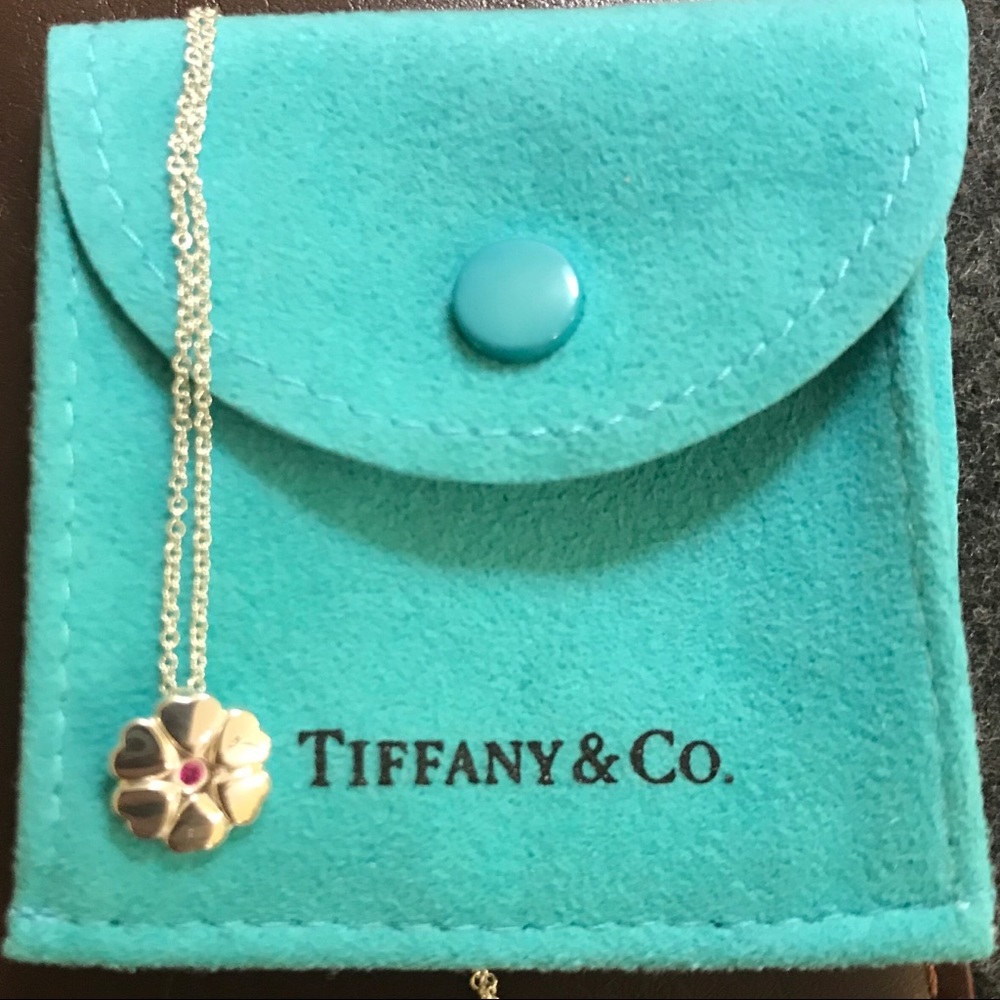 Tiffany & Co. Paloma Picasso Pendant Necklace